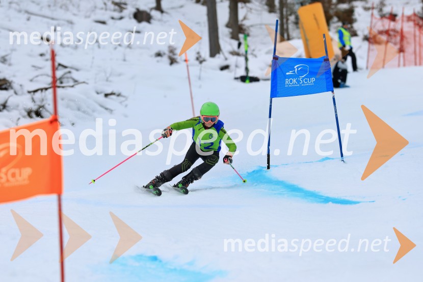 32. Pokal Roka Petroviča v smučanju za otroke