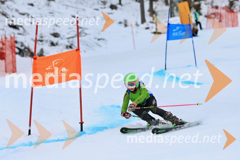 32. Pokal Roka Petroviča v smučanju za otroke