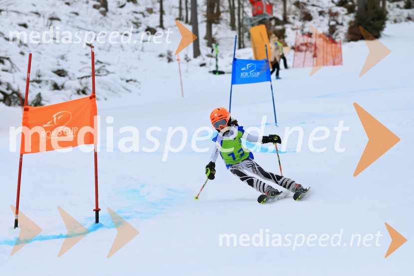 32. Pokal Roka Petroviča v smučanju za otroke