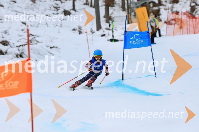 32. Pokal Roka Petroviča v smučanju za otroke