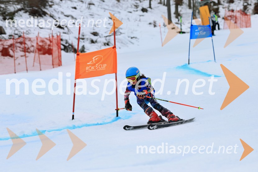 32. Pokal Roka Petroviča v smučanju za otroke