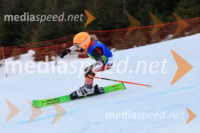 32. Pokal Roka Petroviča v smučanju za otroke