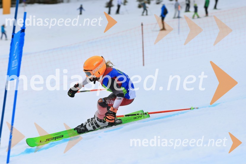 32. Pokal Roka Petroviča v smučanju za otroke