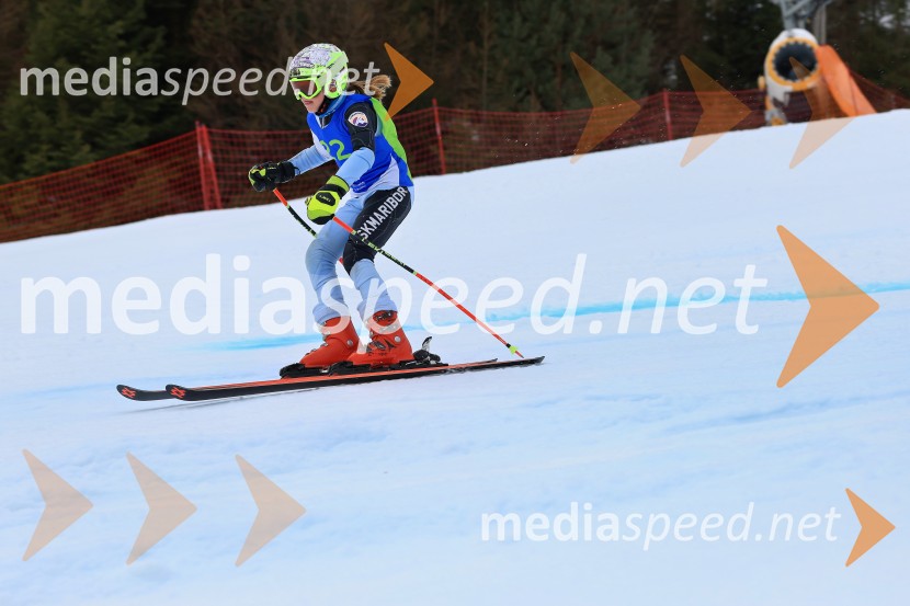 32. Pokal Roka Petroviča v smučanju za otroke