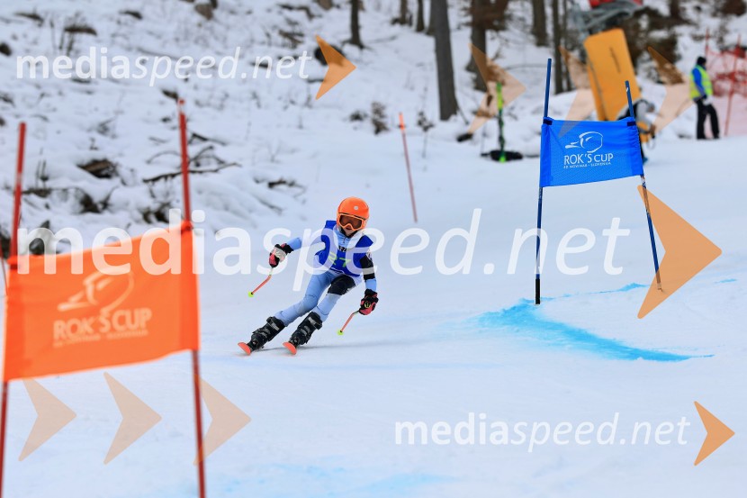 32. Pokal Roka Petroviča v smučanju za otroke