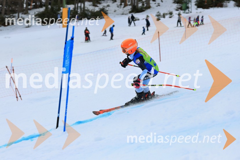 32. Pokal Roka Petroviča v smučanju za otroke