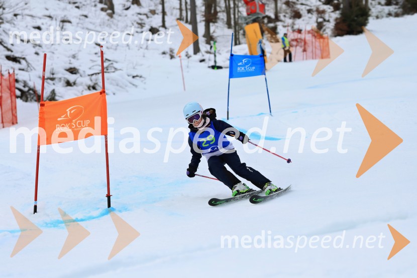 32. Pokal Roka Petroviča v smučanju za otroke