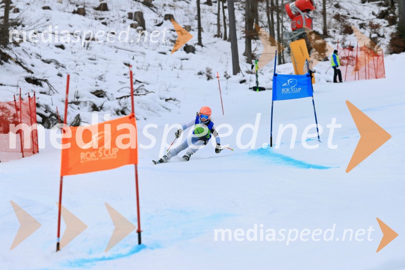 32. Pokal Roka Petroviča v smučanju za otroke