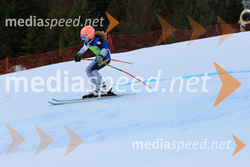 32. Pokal Roka Petroviča v smučanju za otroke