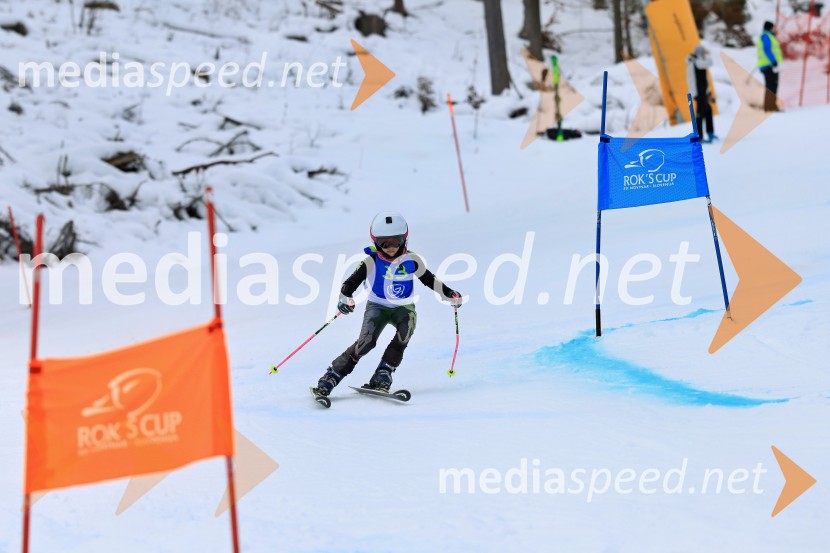 32. Pokal Roka Petroviča v smučanju za otroke