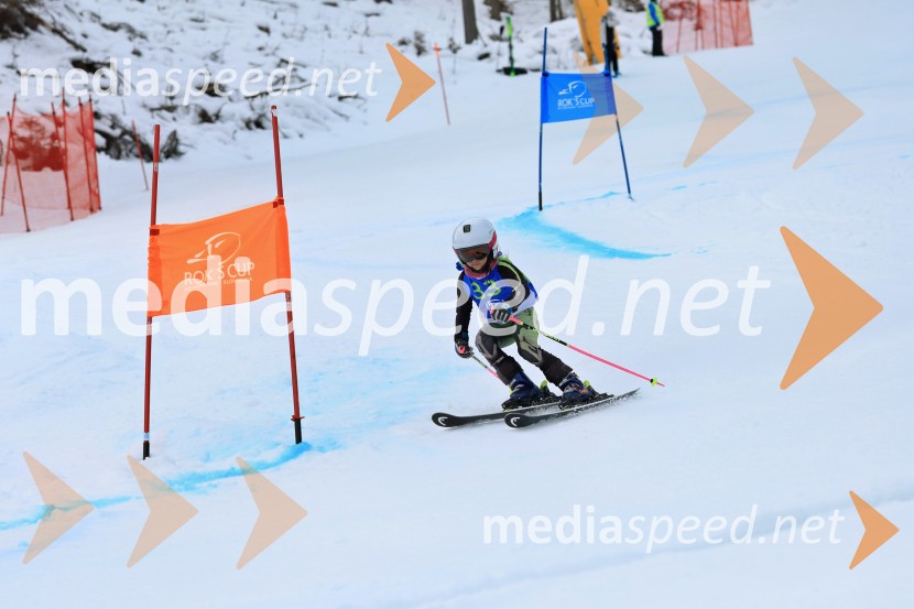 32. Pokal Roka Petroviča v smučanju za otroke