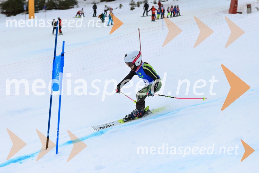 32. Pokal Roka Petroviča v smučanju za otroke