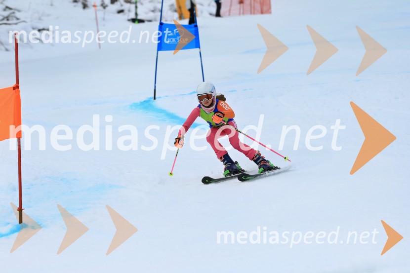 32. Pokal Roka Petroviča v smučanju za otroke