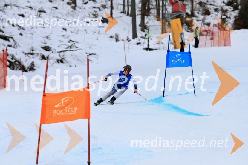 32. Pokal Roka Petroviča v smučanju za otroke