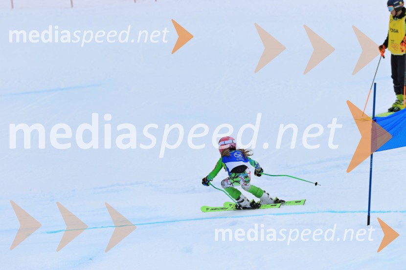 32. Pokal Roka Petroviča v smučanju za otroke