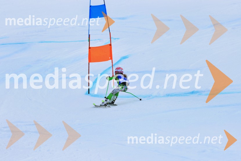 32. Pokal Roka Petroviča v smučanju za otroke