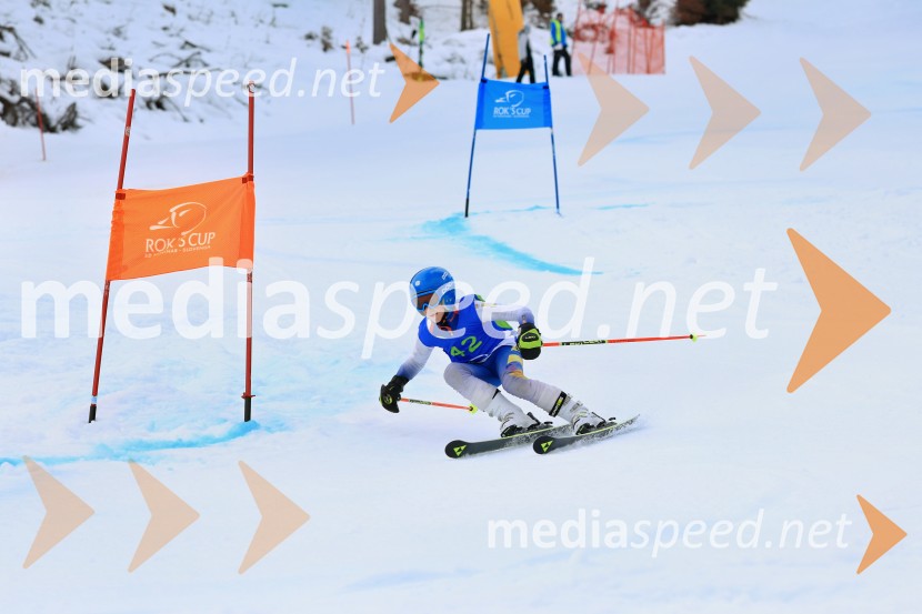 32. Pokal Roka Petroviča v smučanju za otroke