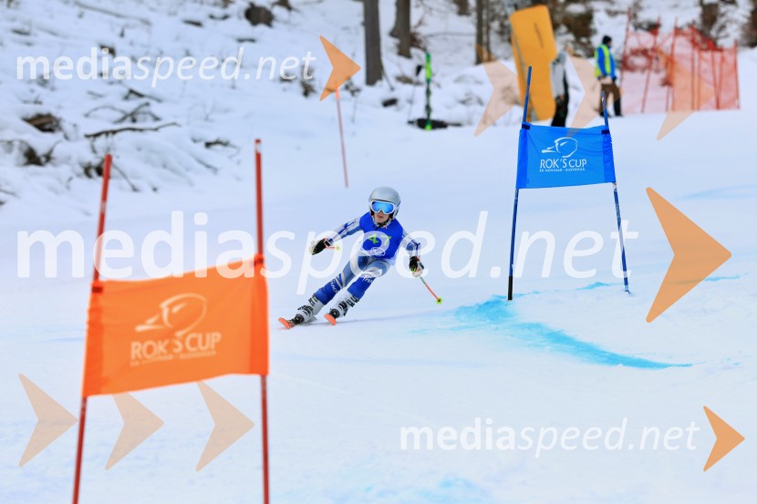 32. Pokal Roka Petroviča v smučanju za otroke