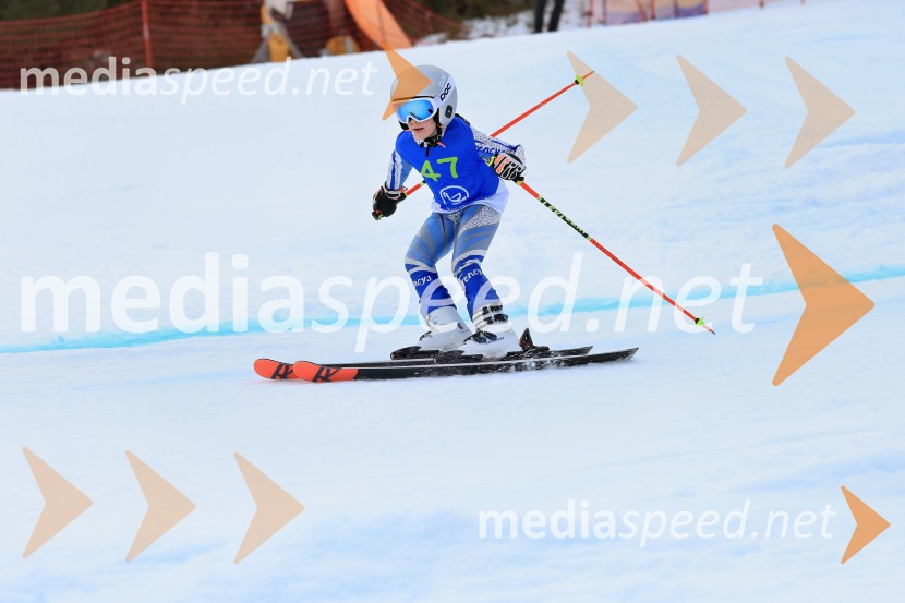 32. Pokal Roka Petroviča v smučanju za otroke