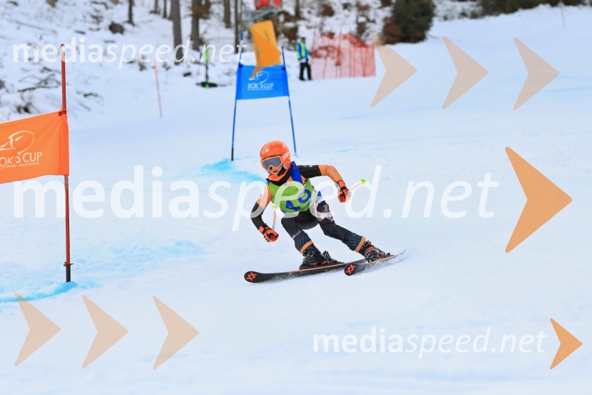 32. Pokal Roka Petroviča v smučanju za otroke