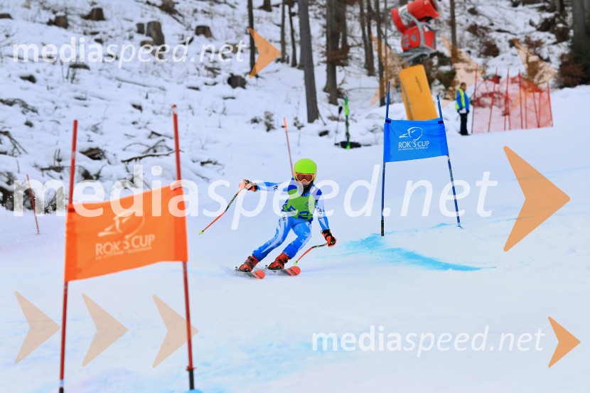 32. Pokal Roka Petroviča v smučanju za otroke