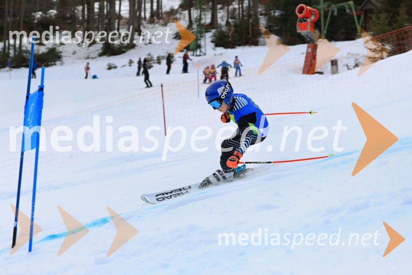 32. Pokal Roka Petroviča v smučanju za otroke