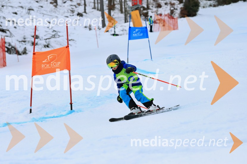 32. Pokal Roka Petroviča v smučanju za otroke