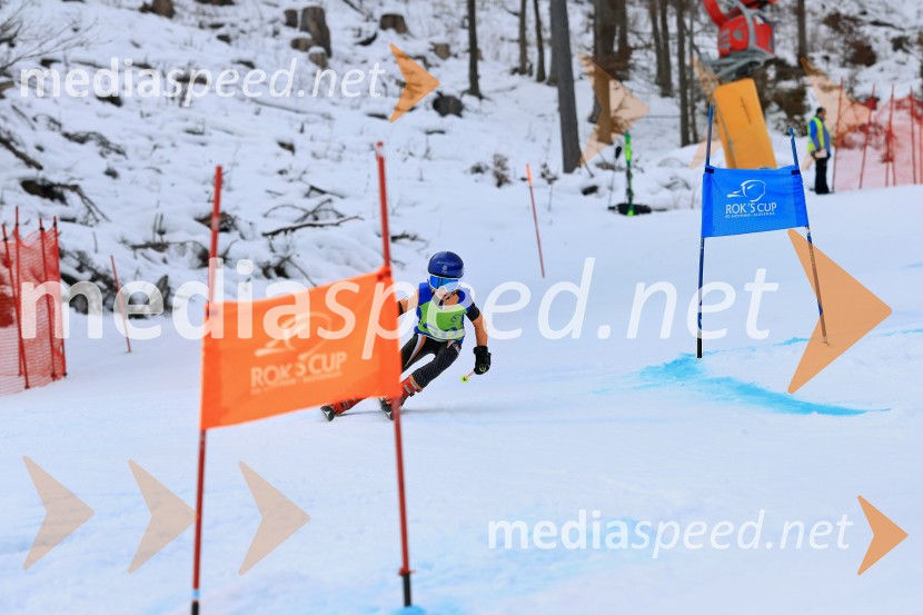 32. Pokal Roka Petroviča v smučanju za otroke