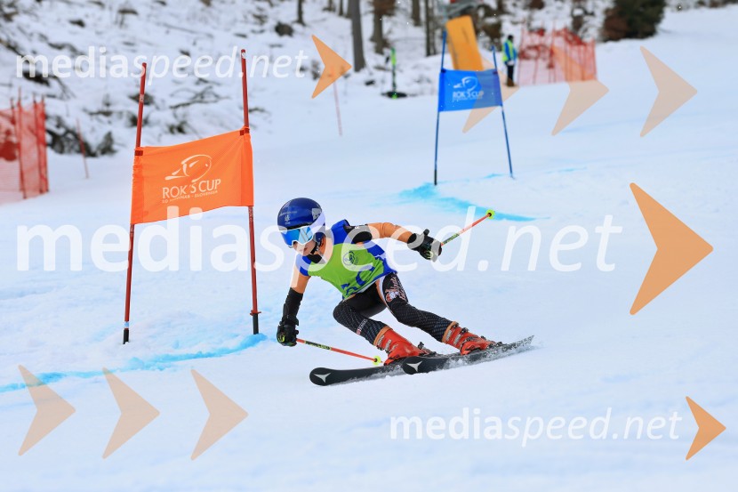 32. Pokal Roka Petroviča v smučanju za otroke