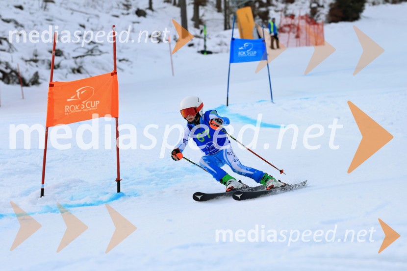32. Pokal Roka Petroviča v smučanju za otroke