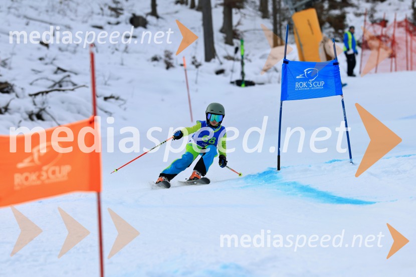 32. Pokal Roka Petroviča v smučanju za otroke