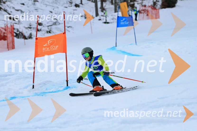32. Pokal Roka Petroviča v smučanju za otroke