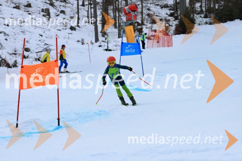 32. Pokal Roka Petroviča v smučanju za otroke