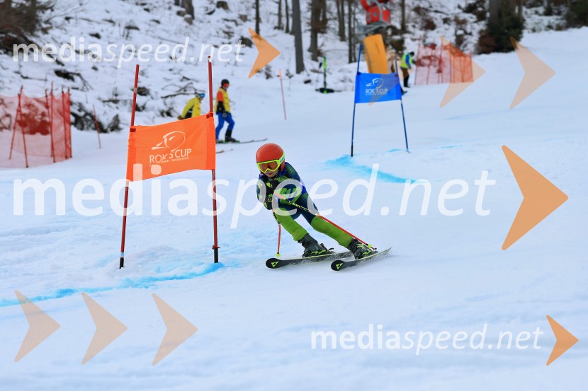 32. Pokal Roka Petroviča v smučanju za otroke