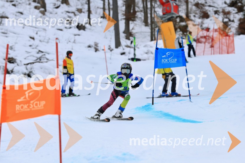 32. Pokal Roka Petroviča v smučanju za otroke