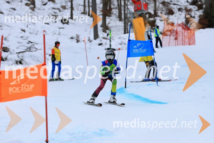32. Pokal Roka Petroviča v smučanju za otroke
