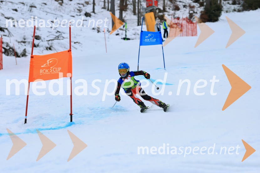32. Pokal Roka Petroviča v smučanju za otroke