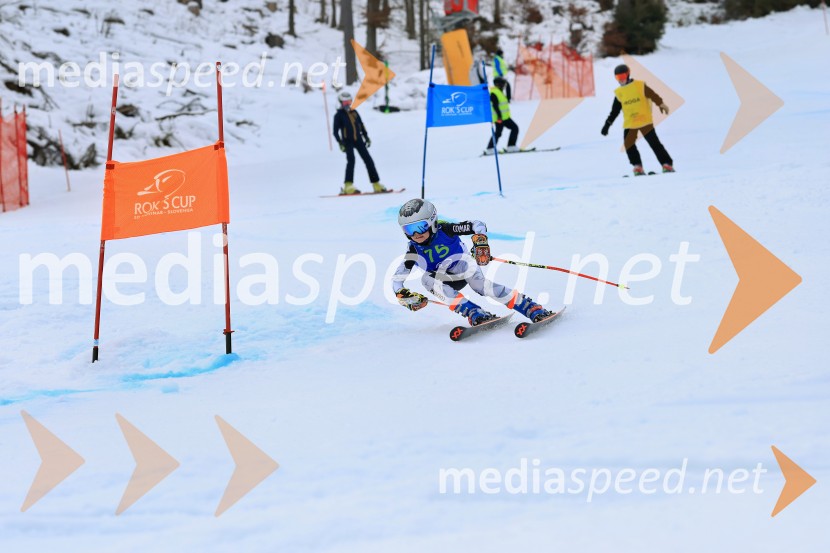 32. Pokal Roka Petroviča v smučanju za otroke