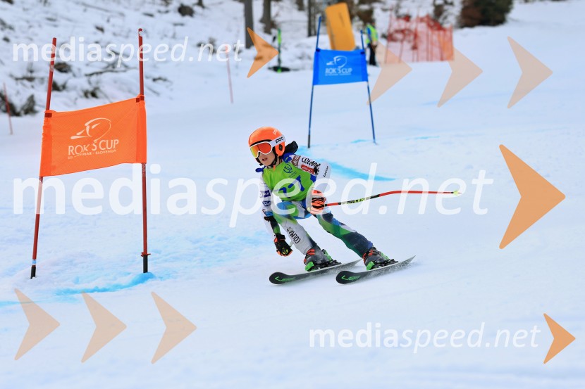 32. Pokal Roka Petroviča v smučanju za otroke