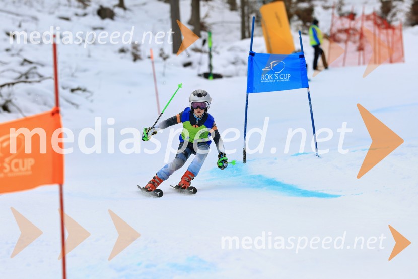 32. Pokal Roka Petroviča v smučanju za otroke