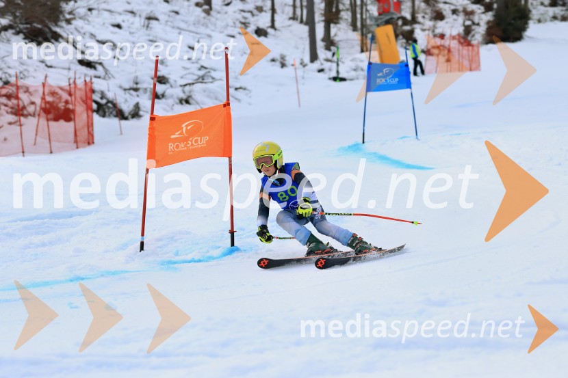 32. Pokal Roka Petroviča v smučanju za otroke