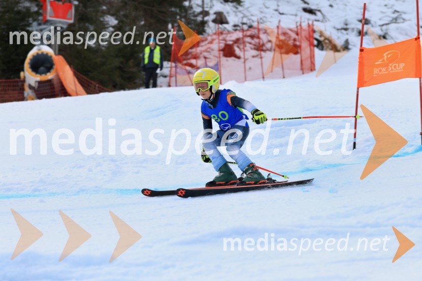 32. Pokal Roka Petroviča v smučanju za otroke