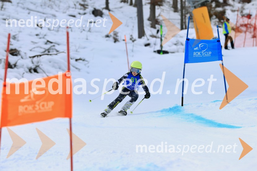 32. Pokal Roka Petroviča v smučanju za otroke