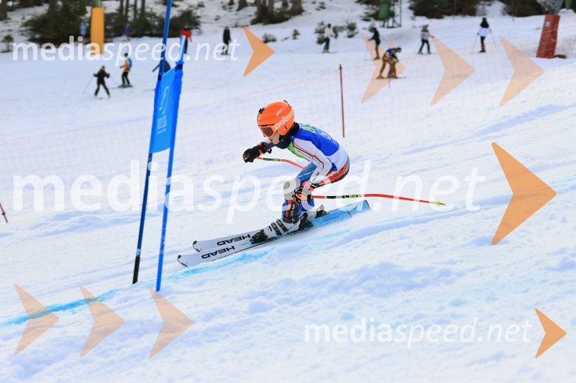 32. Pokal Roka Petroviča v smučanju za otroke