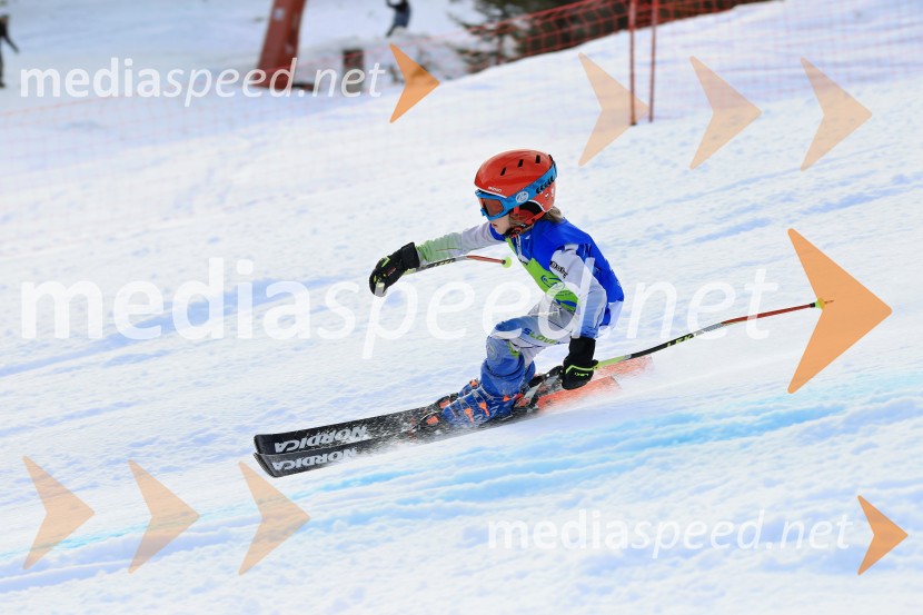 32. Pokal Roka Petroviča v smučanju za otroke
