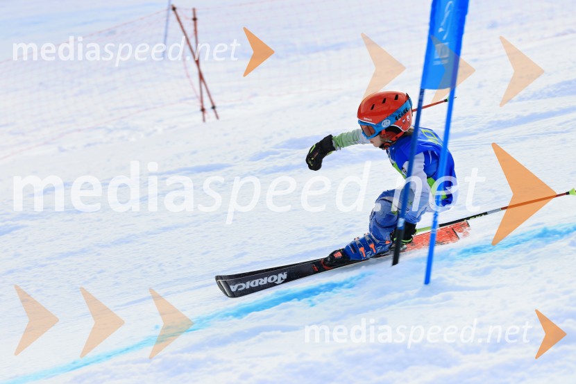 32. Pokal Roka Petroviča v smučanju za otroke