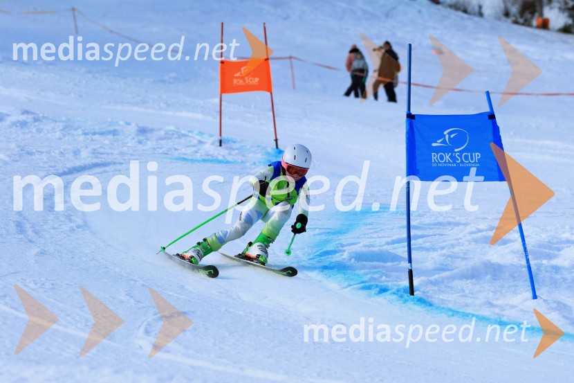 32. Pokal Roka Petroviča v smučanju za otroke
