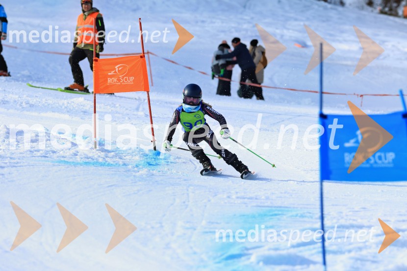32. Pokal Roka Petroviča v smučanju za otroke