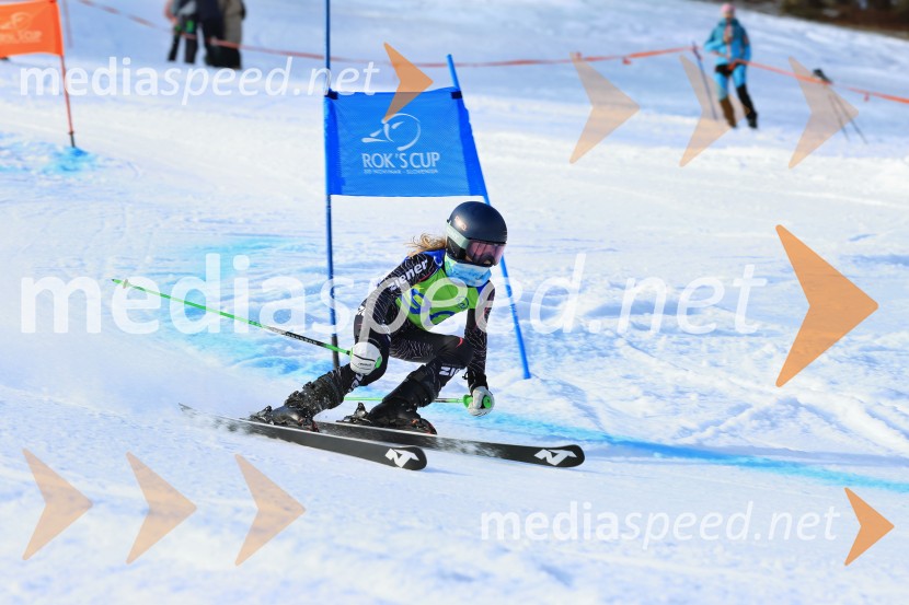 32. Pokal Roka Petroviča v smučanju za otroke