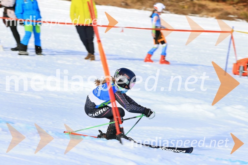 32. Pokal Roka Petroviča v smučanju za otroke